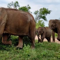 484273562_2664333223766983_4714275818722301463_n