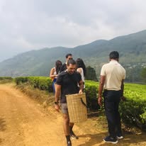 484276045_2664885190378453_7084320517439904276_n