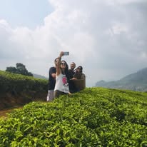 484292536_2664885173711788_1443720036226319593_n