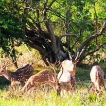 484319779_2664333160433656_3217493774922542295_n