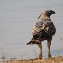 484440231_2664333287100310_1921616149088966818_n