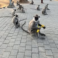 484594286_2664333127100326_2976785600357832322_n